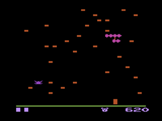 Centipede